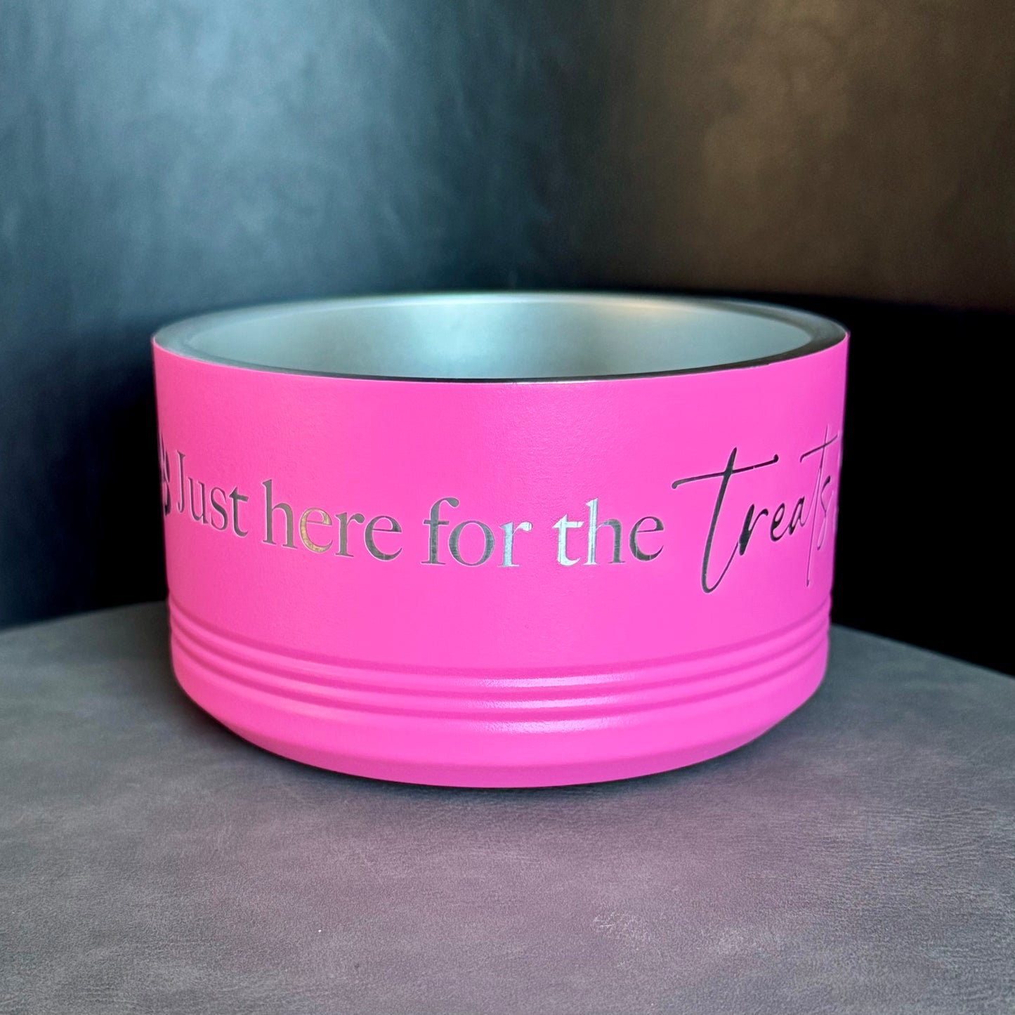 Pet Bowl